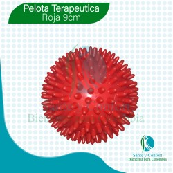 Pelotas Fisioterapia Rehabilitar Masajes
