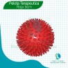 Pelotas Fisioterapia Rehabilitar Masajes