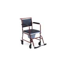 Silla sanitaria desarmable