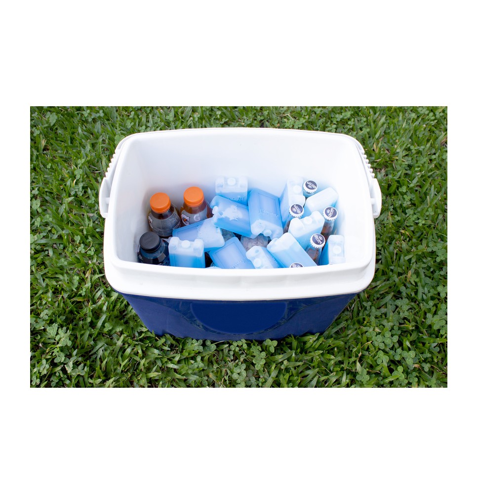 Pila Refrigerante 1000 g para Medicamentos – Sante y Confort
