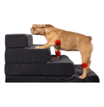 Escalera multifuncional mascotas