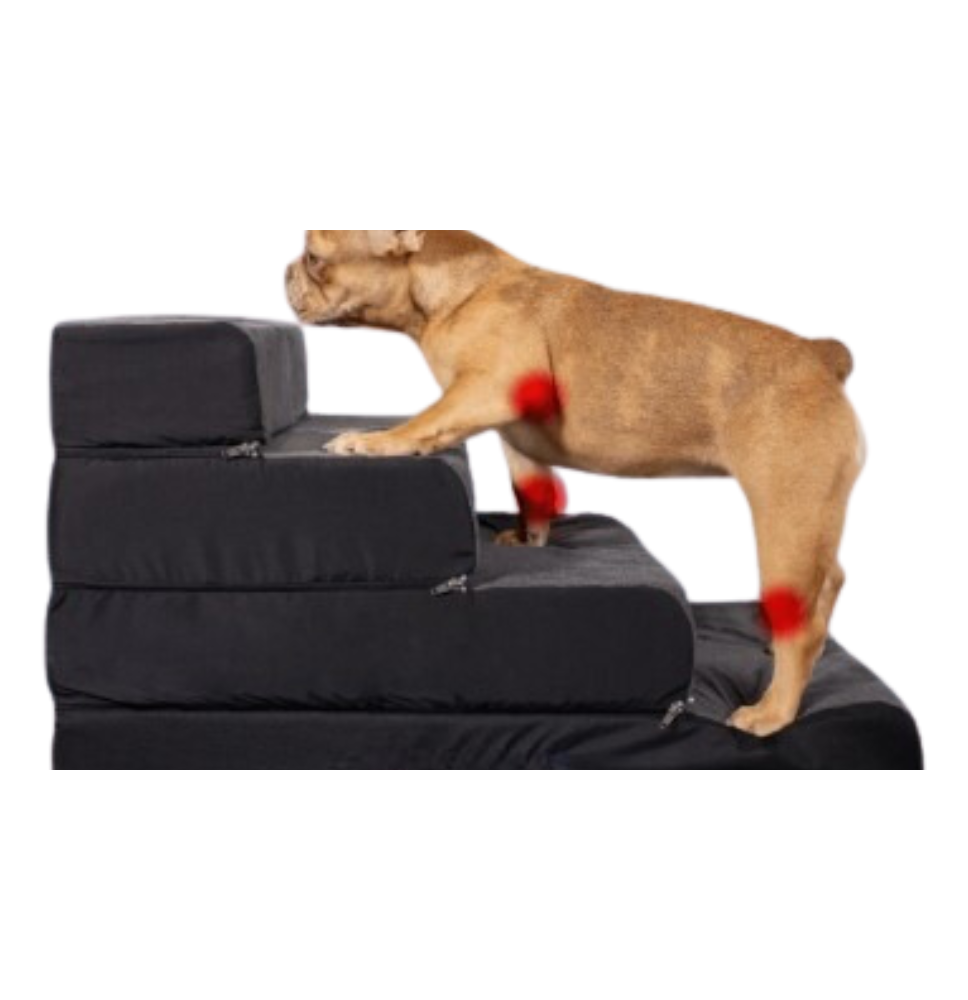 Escalera multifuncional mascotas