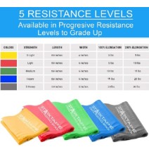 Juego de Bandas de Resistencia sin Látex - 5 Bandas Profesionales para Ejercicio y Fisioterapia