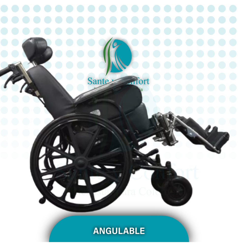 silla neurologica