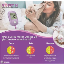 ciudado mascota