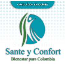 Cama Hospitalaria Manual 4 Planos con Colchón Antiescaras | Sante y Confort