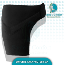 PROTESIS AK