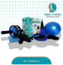SET EJERCICIO