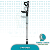 BASTON CISNE
