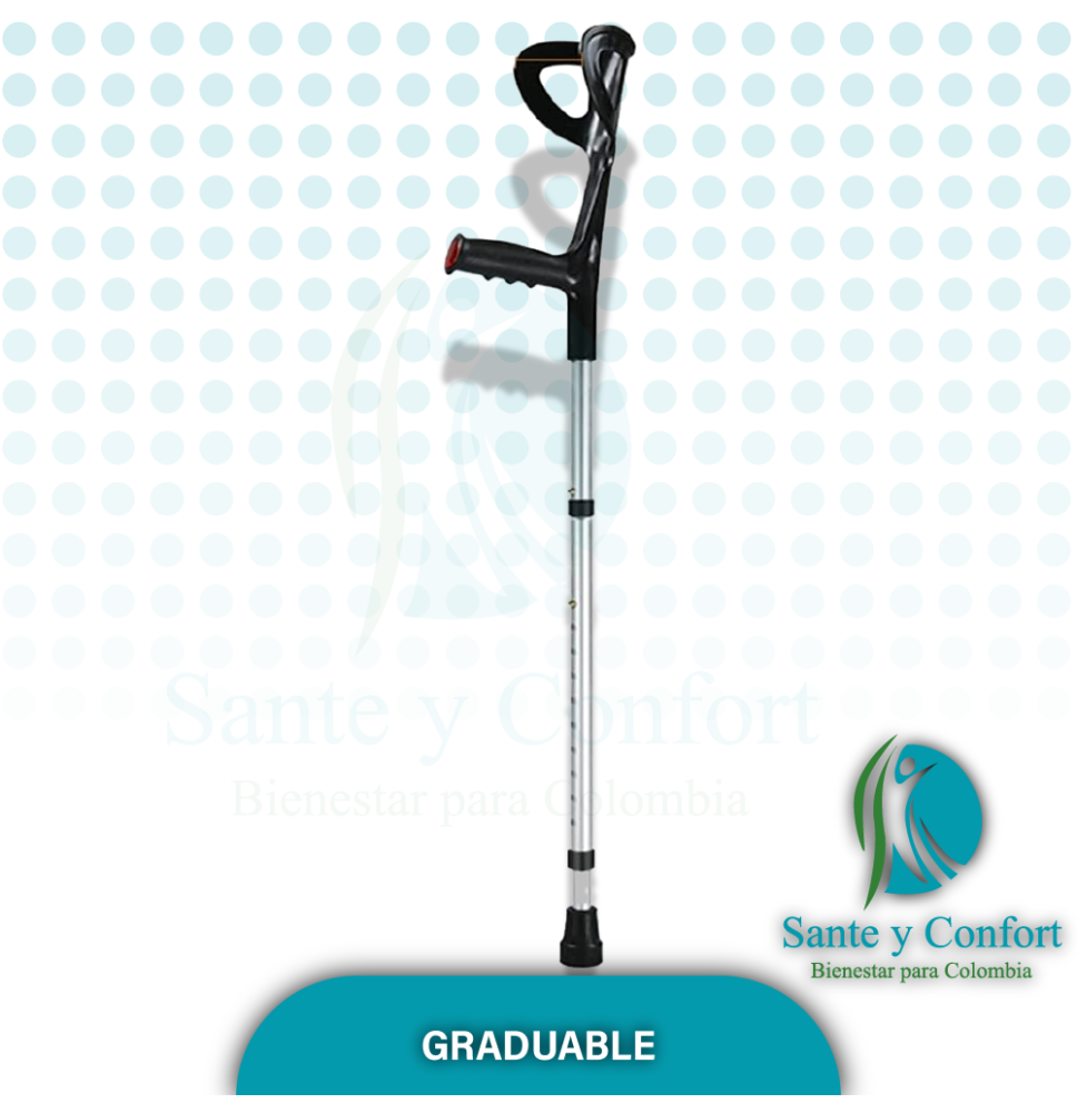 BASTON CISNE