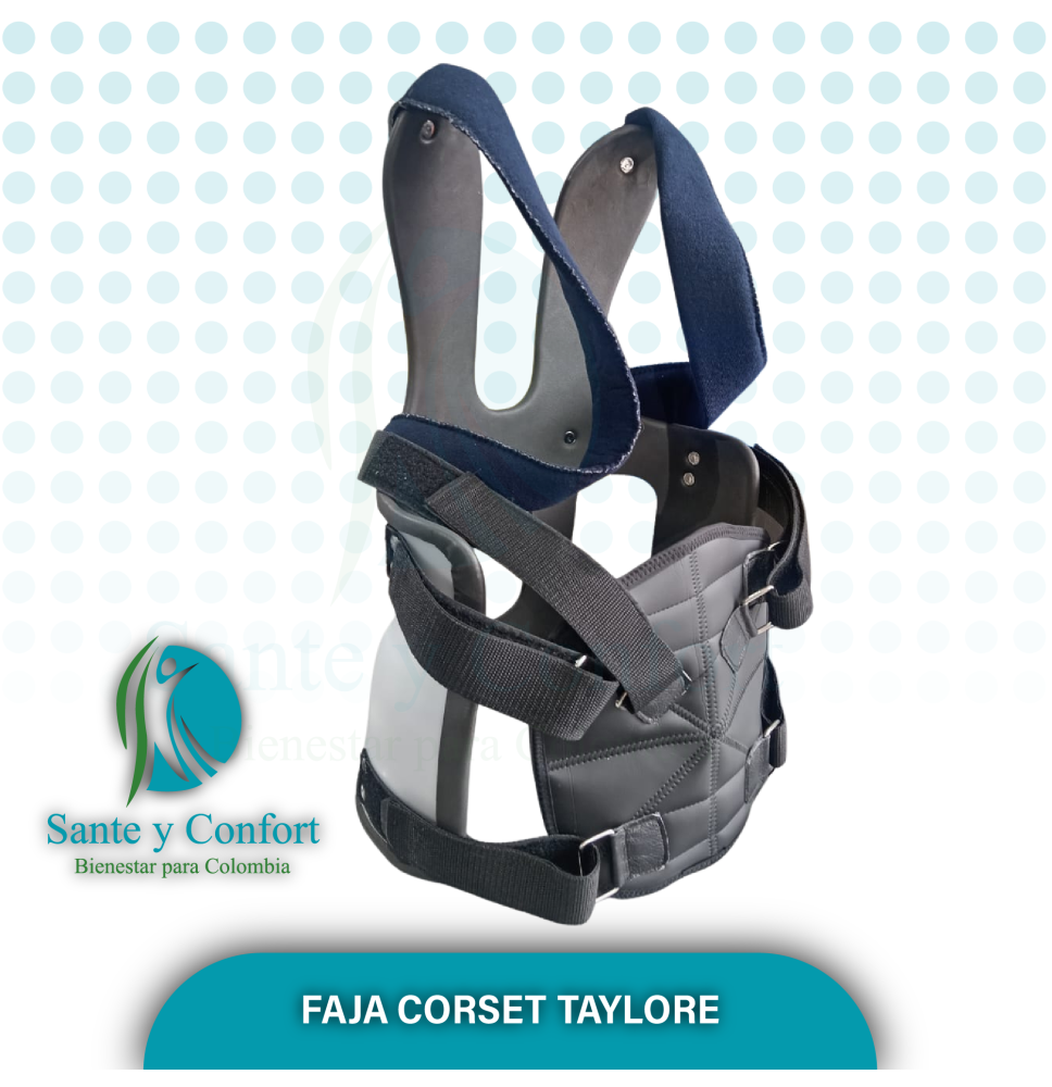 FAJA CORSE TAYLOR