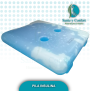 INSULINA