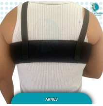 arnes