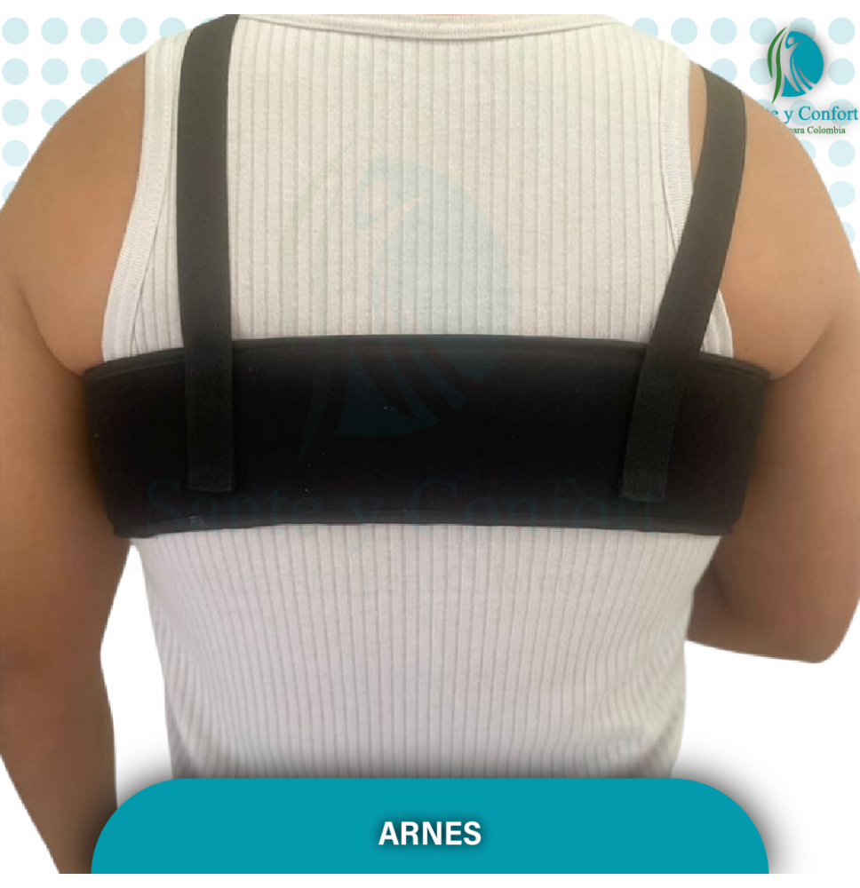 arnes