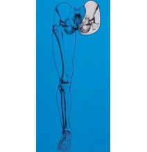 pierna completa protesis