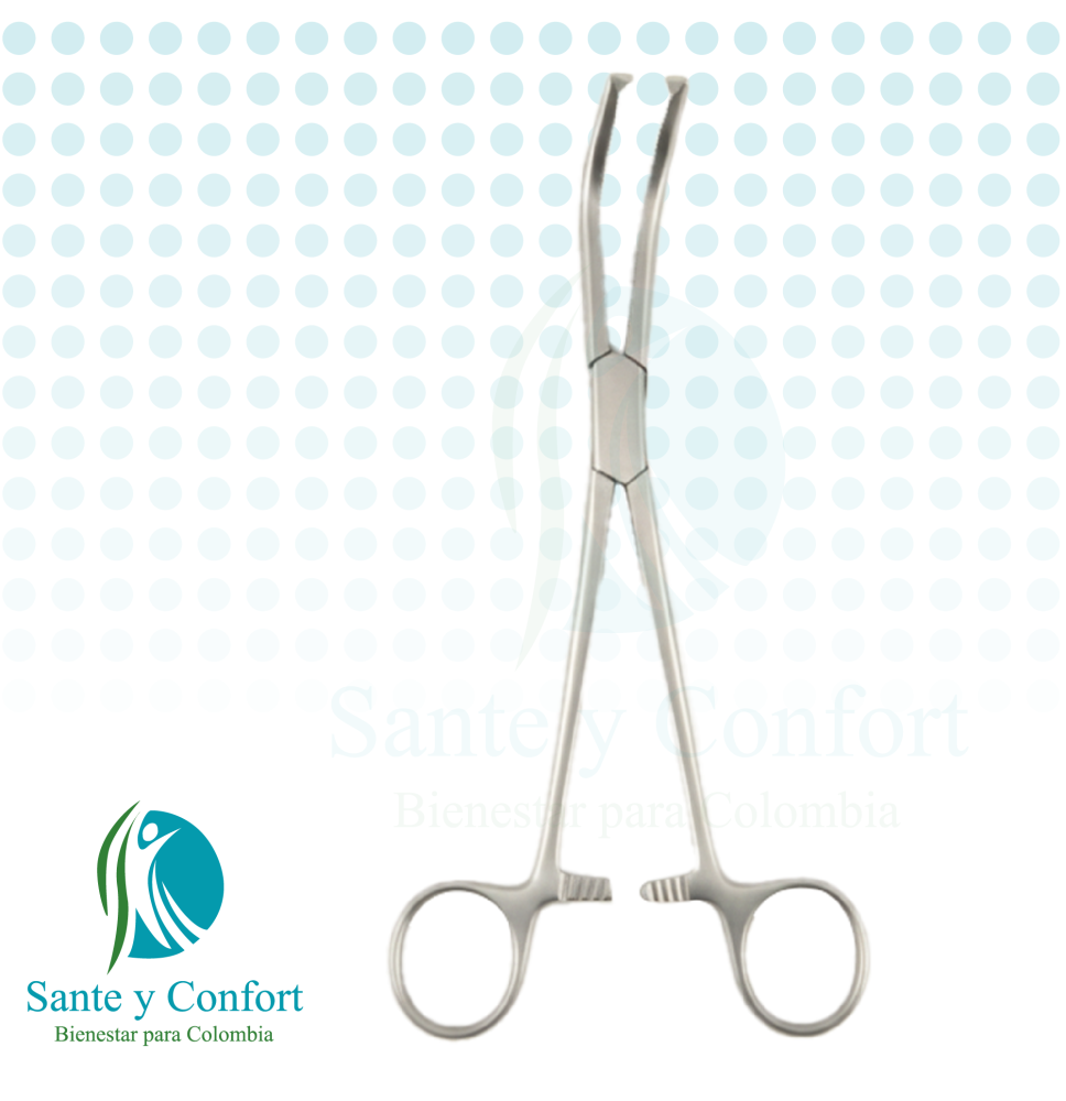 PINZA ROCHESTER