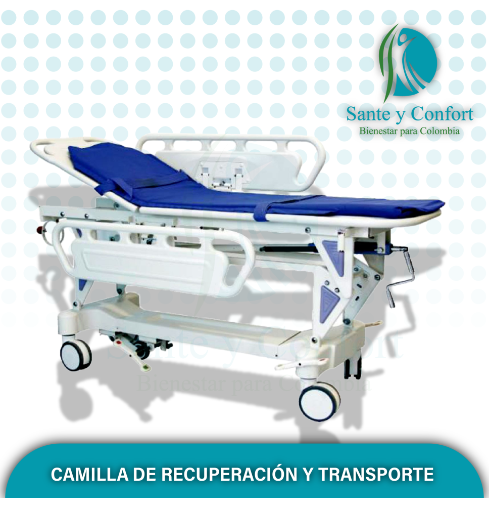 Camilla PUKANG Transporte Seguro Hospitalario | Sante