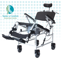 Silla Sanitaria Neurologica