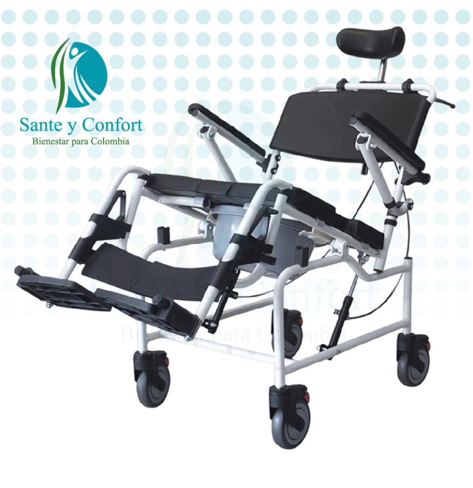 Silla Sanitaria Neurologica
