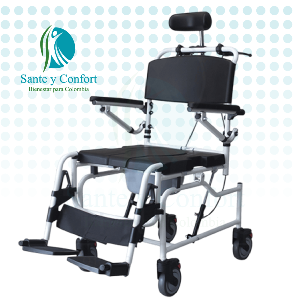Silla Sanitaria Basculante 45° con Soporte | Sante y Confort