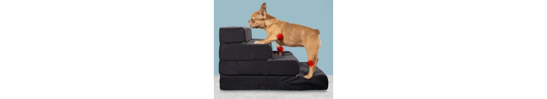Colchonetas Ortopédicas para Mascotas | Santé y Confort