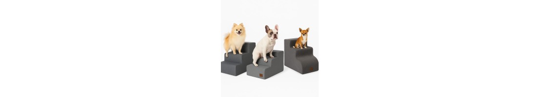 Escaleras para Mascotas y Rampas Ortopédicas | Santé y Confort
