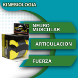 Kinesiologia